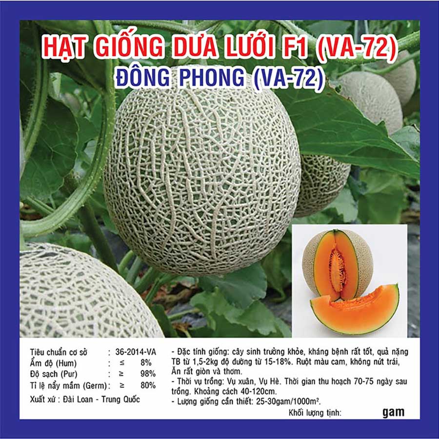 Hạt Giống Dưa Gang Việt Nam – 10 Hạt / 10 Seeds + Quà Tặng Miễn Phí – Vietnamese Melon Seeds