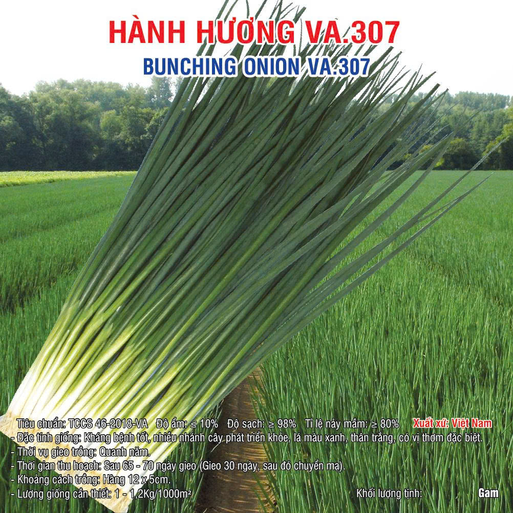 20251023 Hành 307