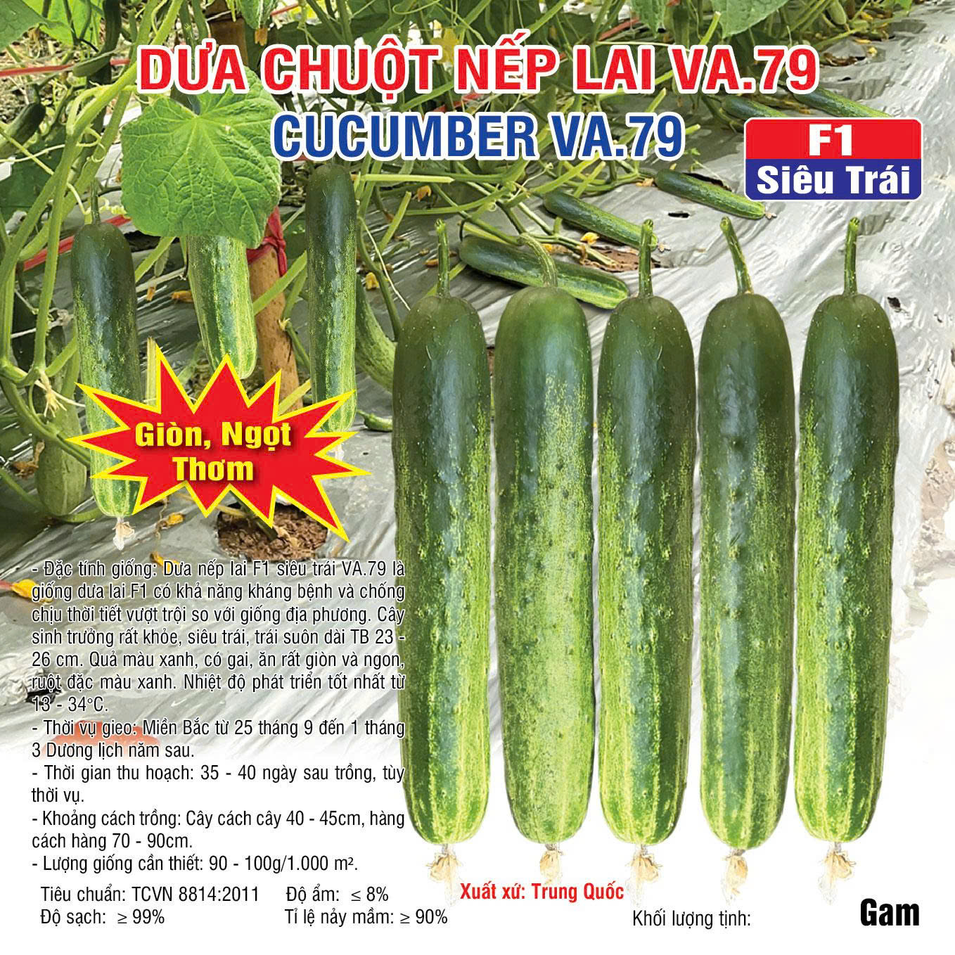 20251118 Dưa 79