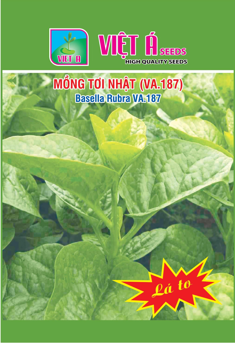 271 mồng tơi 187