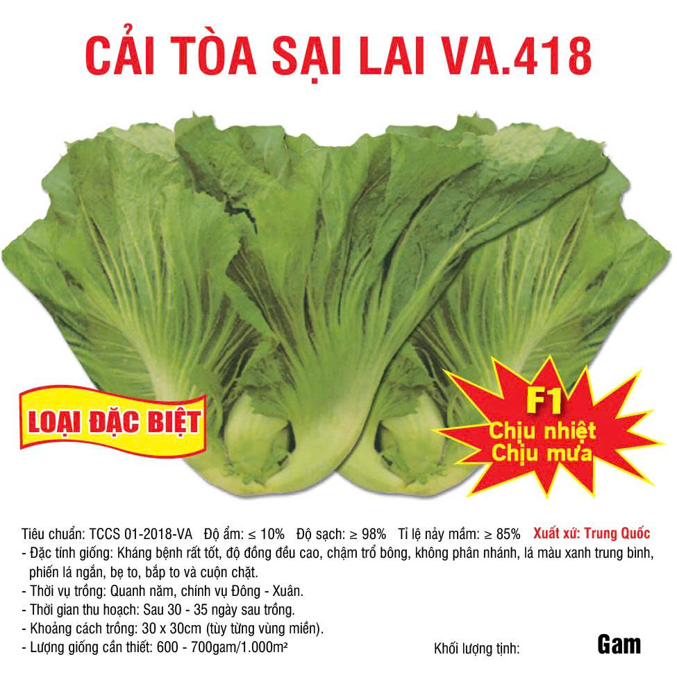 Tòa sại VA.418 NEW