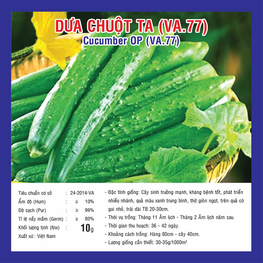 VA 134 DUA CHUOT TA (VA.77)