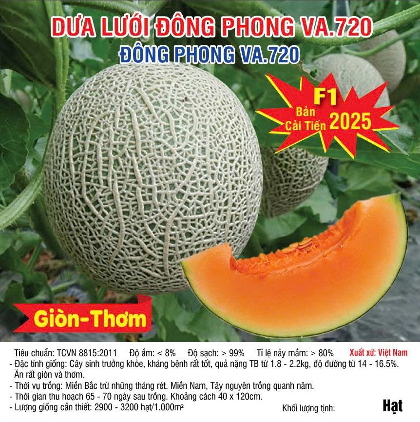 Đông phong 720 2026
