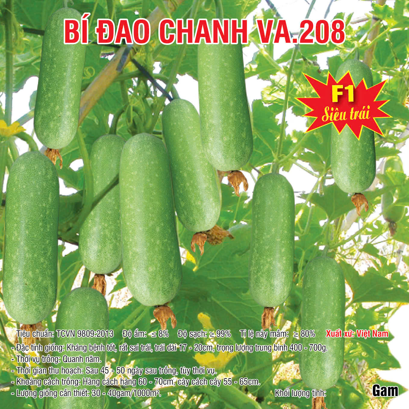 20250304 Bí đao chanh 208