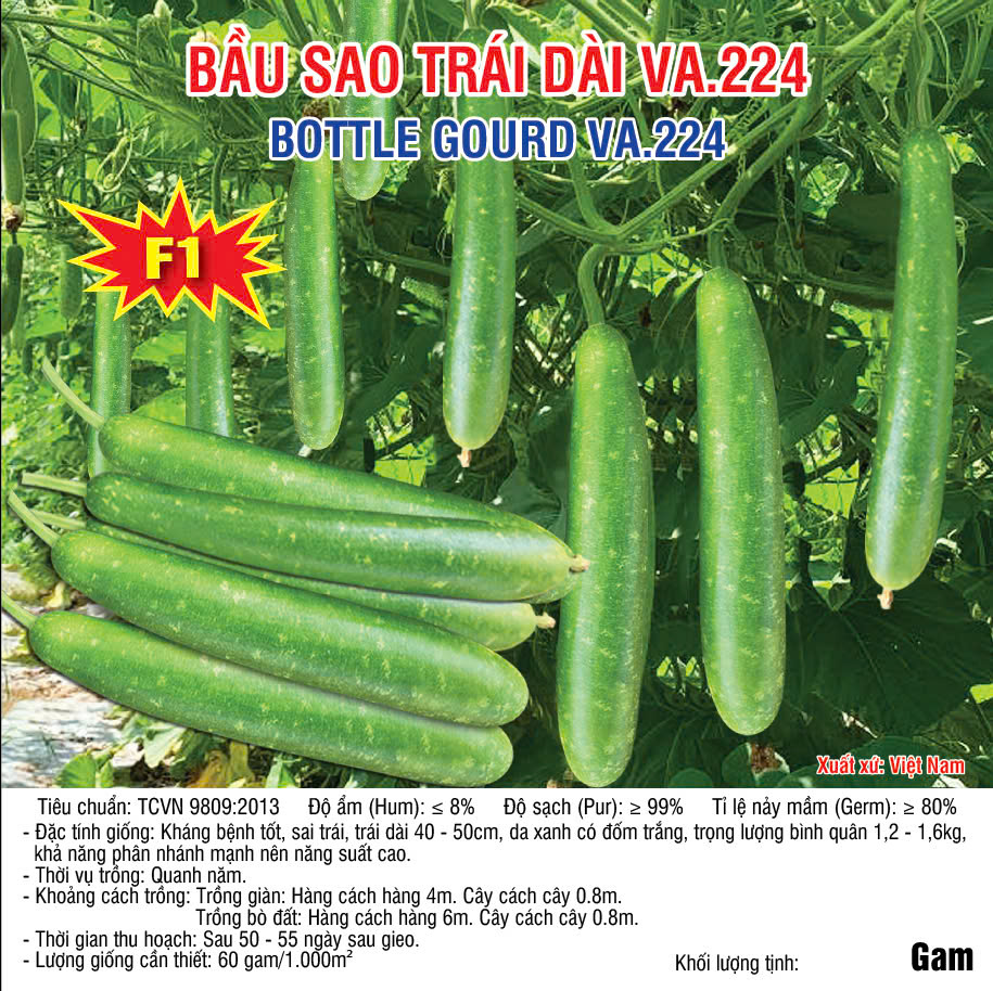 20241221 bầu 224