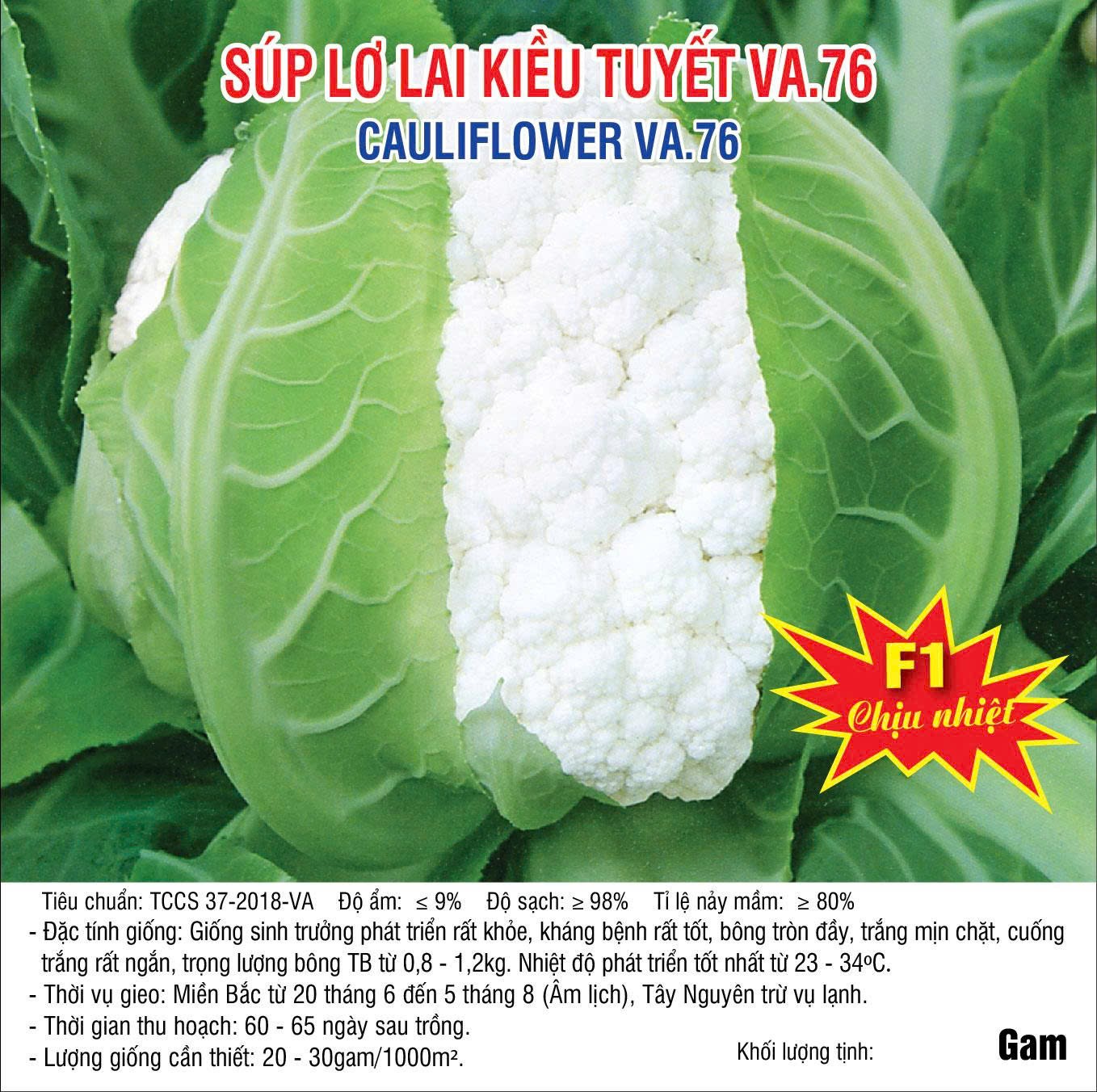 20250718 Lơ trắng Kiều Tuyết 76