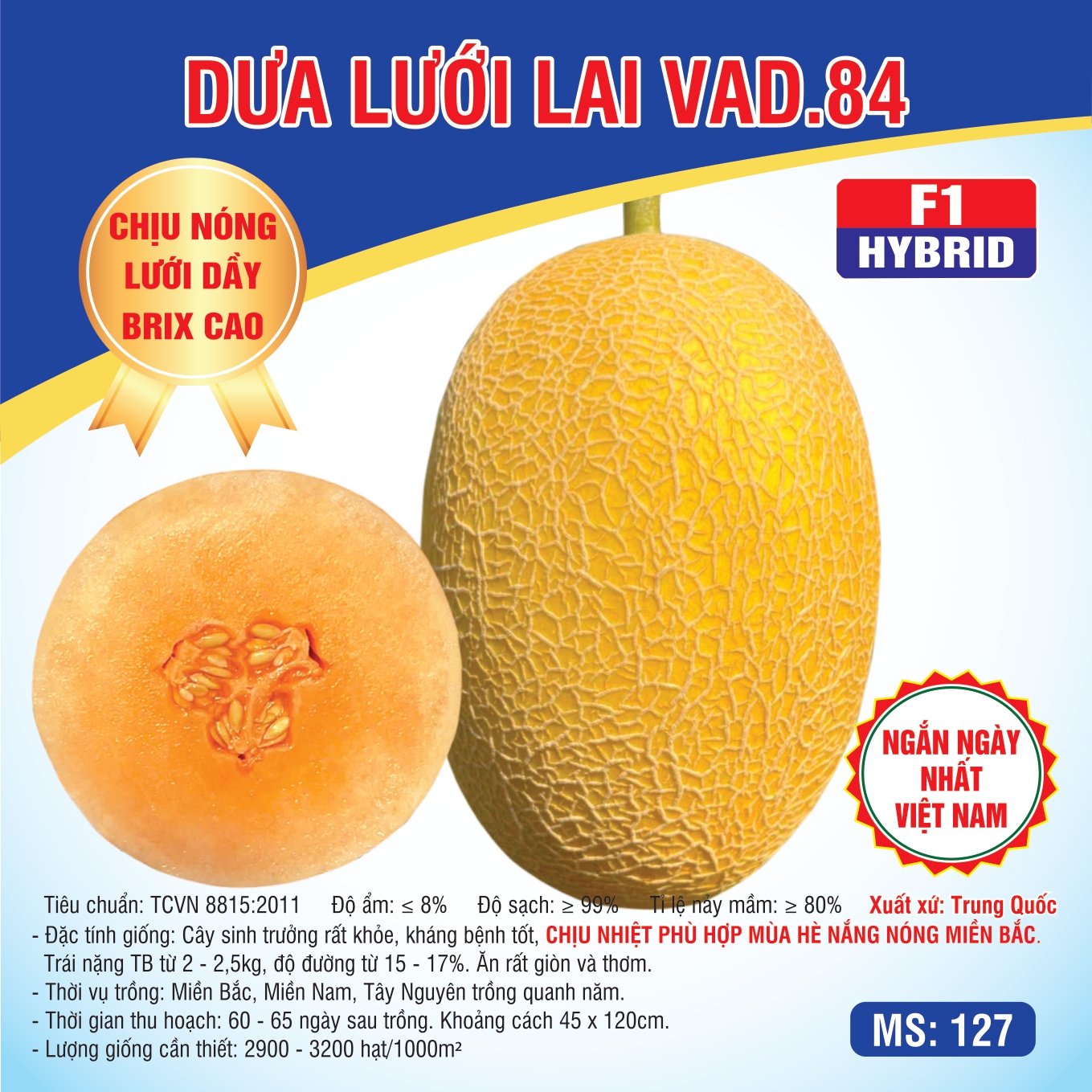 DUA LUOI VAD.84 IN_page-0001