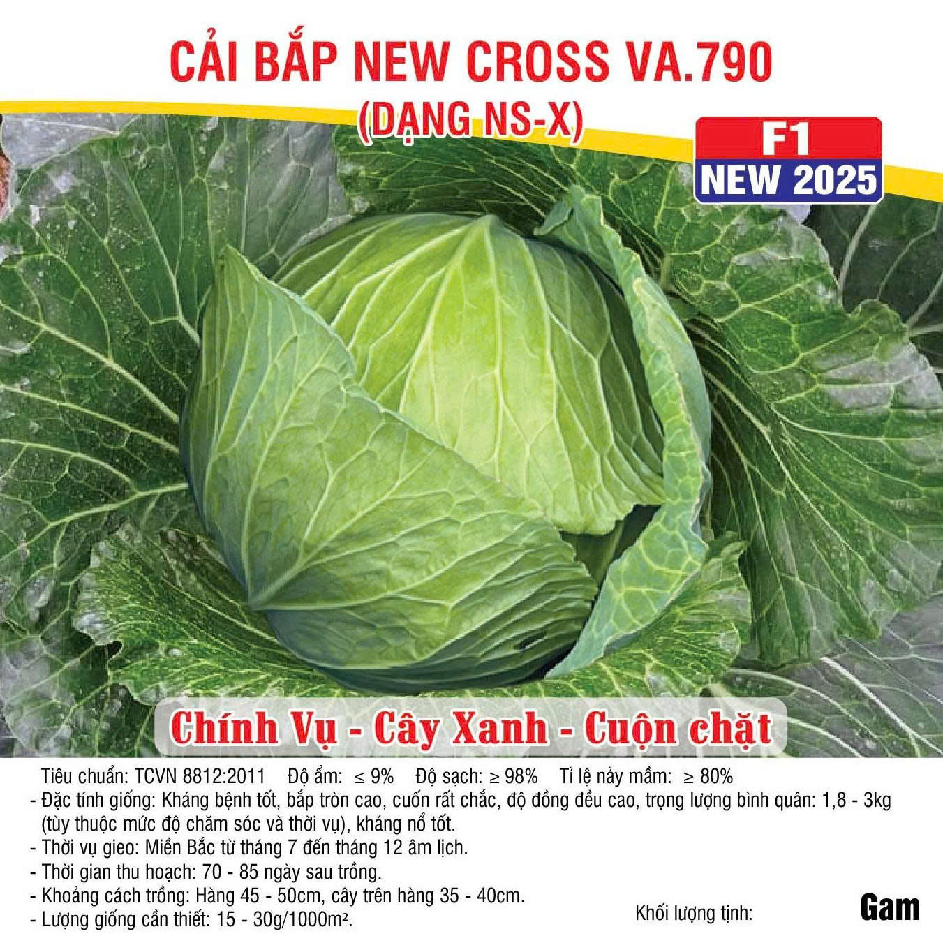 bắp cải 790