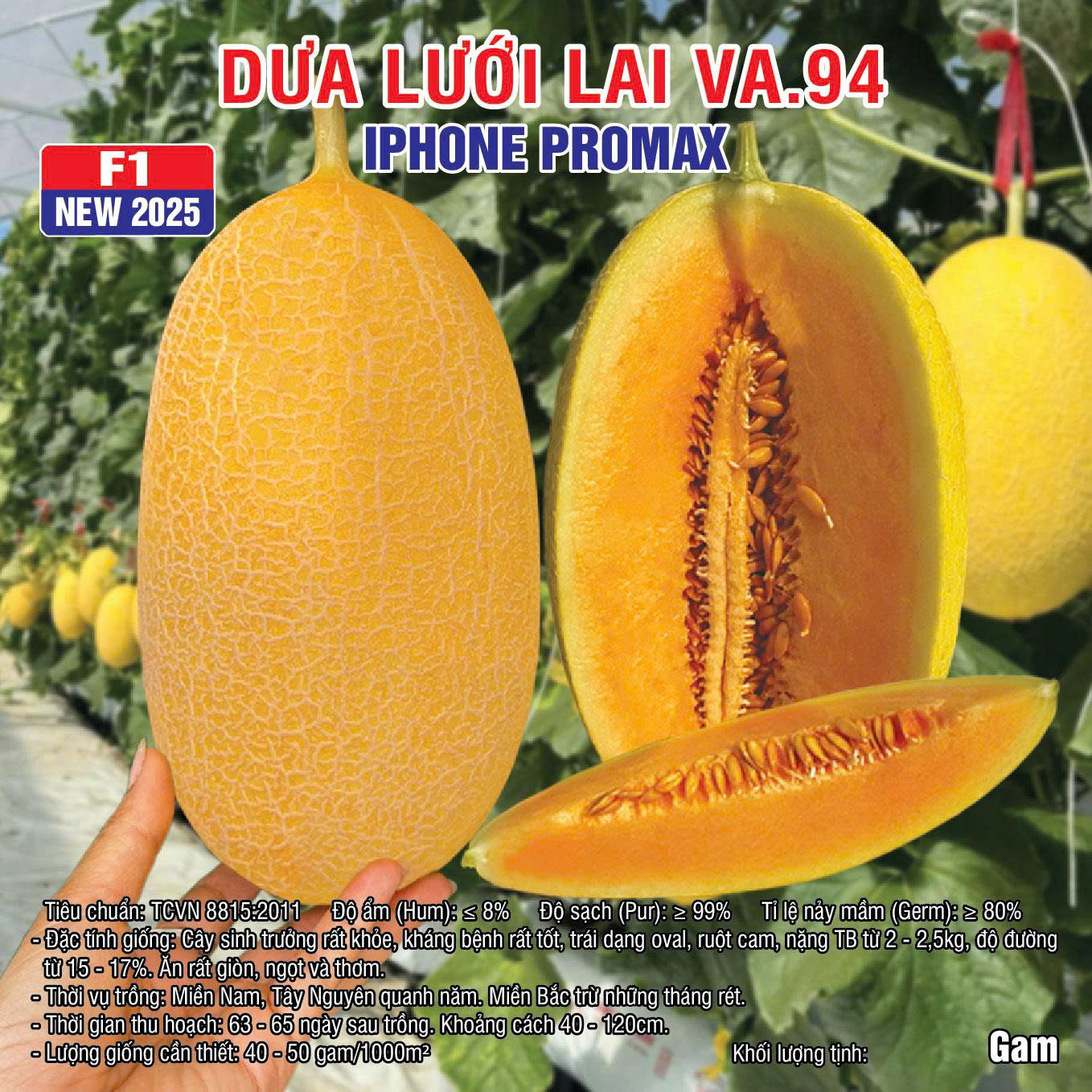VA.94 NEW 29.05.2026